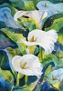 Arum lilies painting by Sue Graham